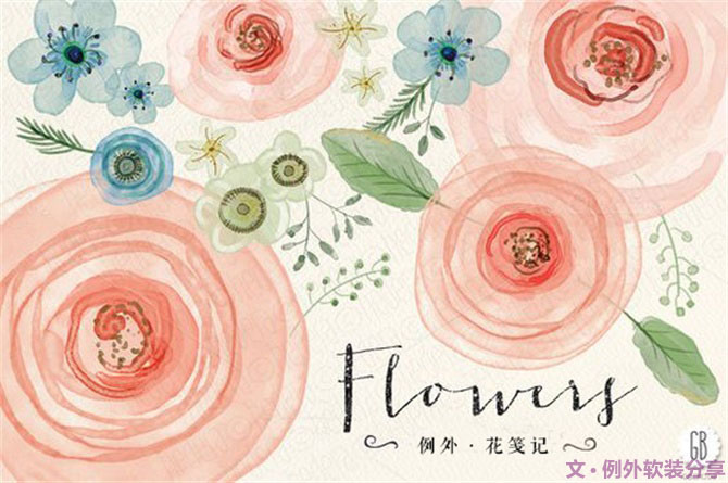 【例外.花箋記】洋牡丹，花叢中的人氣精靈