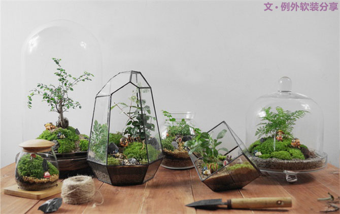 別再花錢(qián)買普通的花盆了，這才是種花神器！