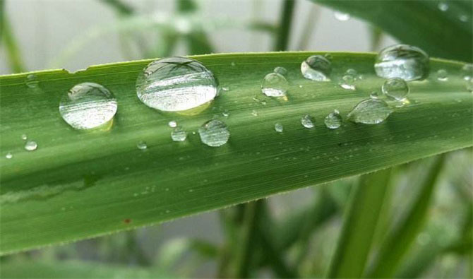 春風(fēng)十里，不如室內(nèi)這抹綠“迷醉”你！-別墅設(shè)計(jì),軟裝設(shè)計(jì),室內(nèi)設(shè)計(jì),豪宅設(shè)計(jì),深圳例外軟裝設(shè)計(jì)公司