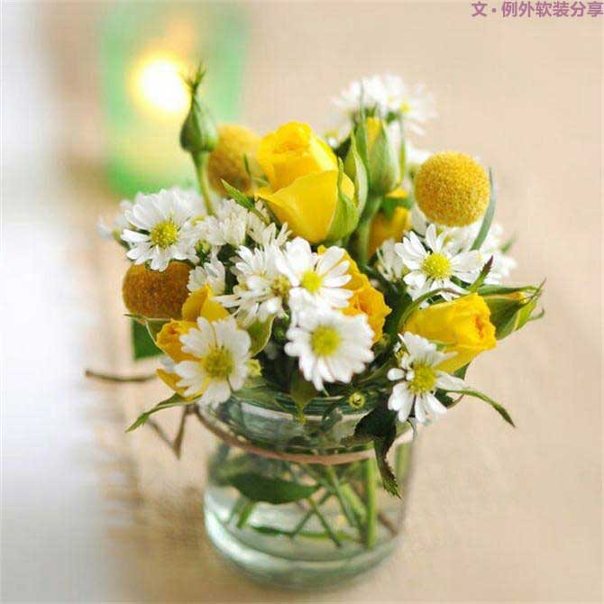 【例外.花箋記】金槌花，敲打在心間的小鼓槌！-別墅設計,軟裝設計,室內設計,豪宅設計,深圳例外軟裝設計公司