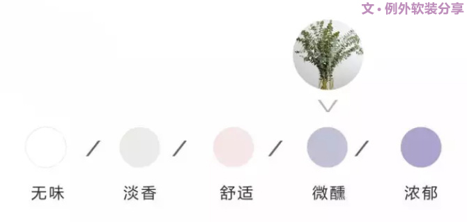 【例外.花箋記】尤加利，花藝界的百搭神葉-別墅設(shè)計(jì),軟裝設(shè)計(jì),室內(nèi)設(shè)計(jì),豪宅設(shè)計(jì),深圳例外軟裝設(shè)計(jì)公司